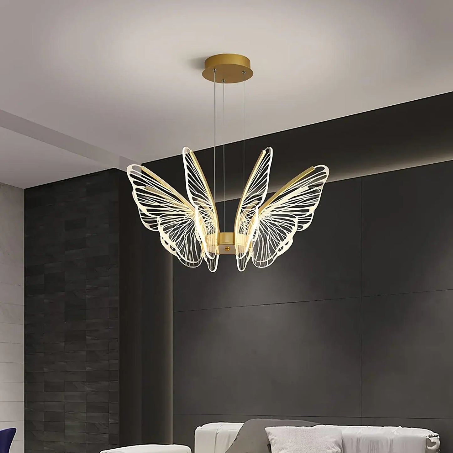 Phalaenopsis Chandelier - Nuvé