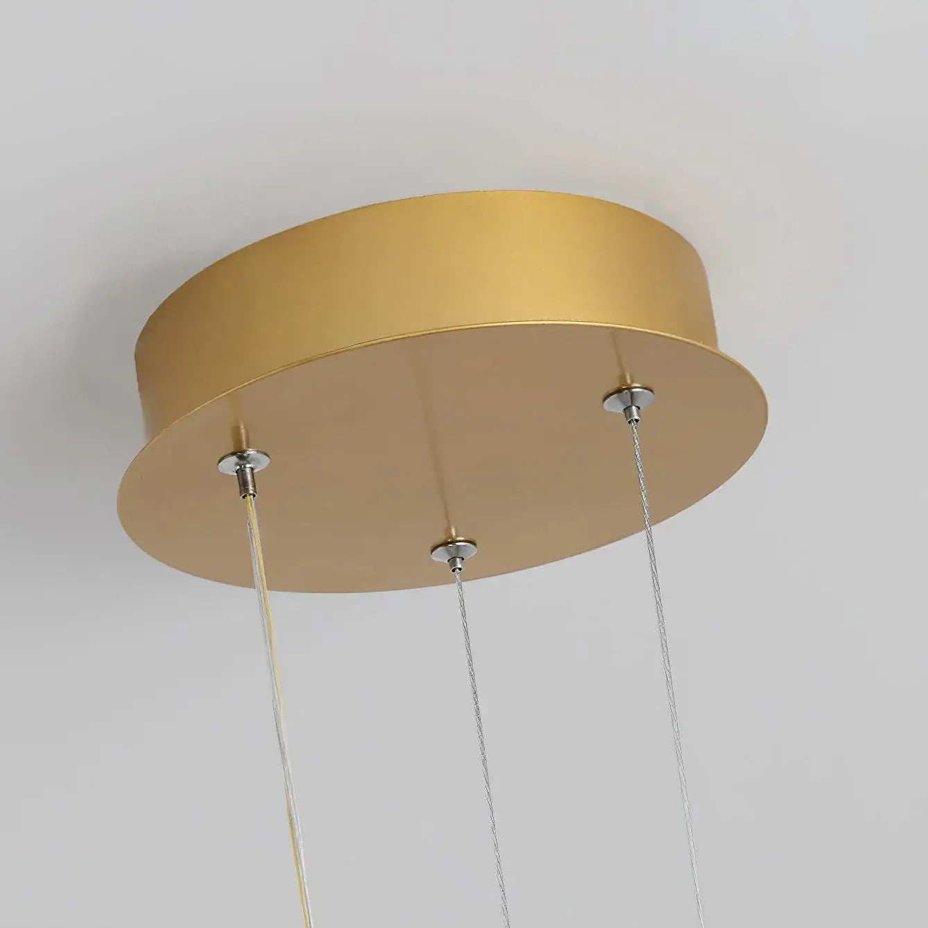 Phalaenopsis Chandelier - Nuvé