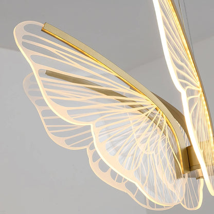 Phalaenopsis Chandelier - Nuvé