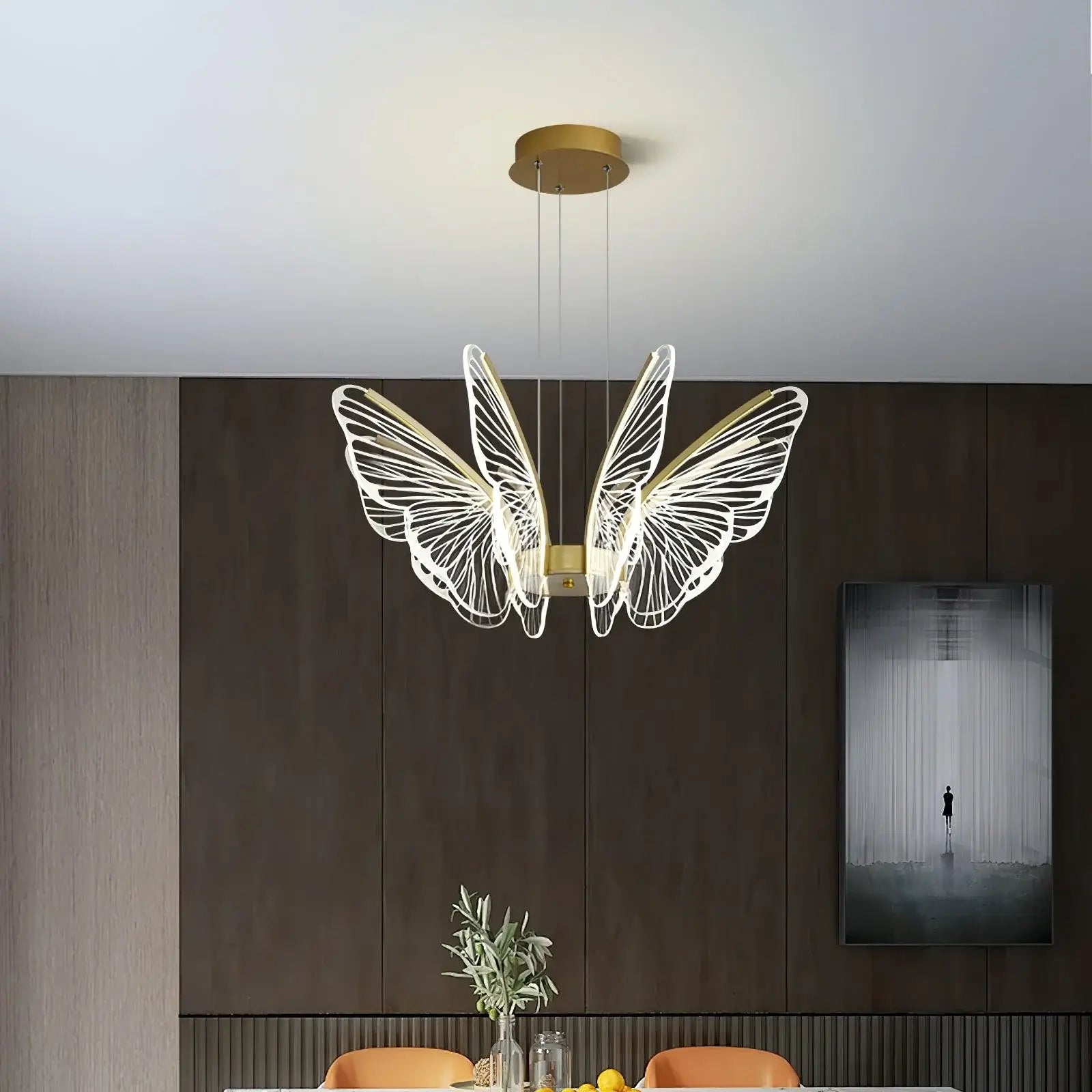 Phalaenopsis Chandelier - Nuvé