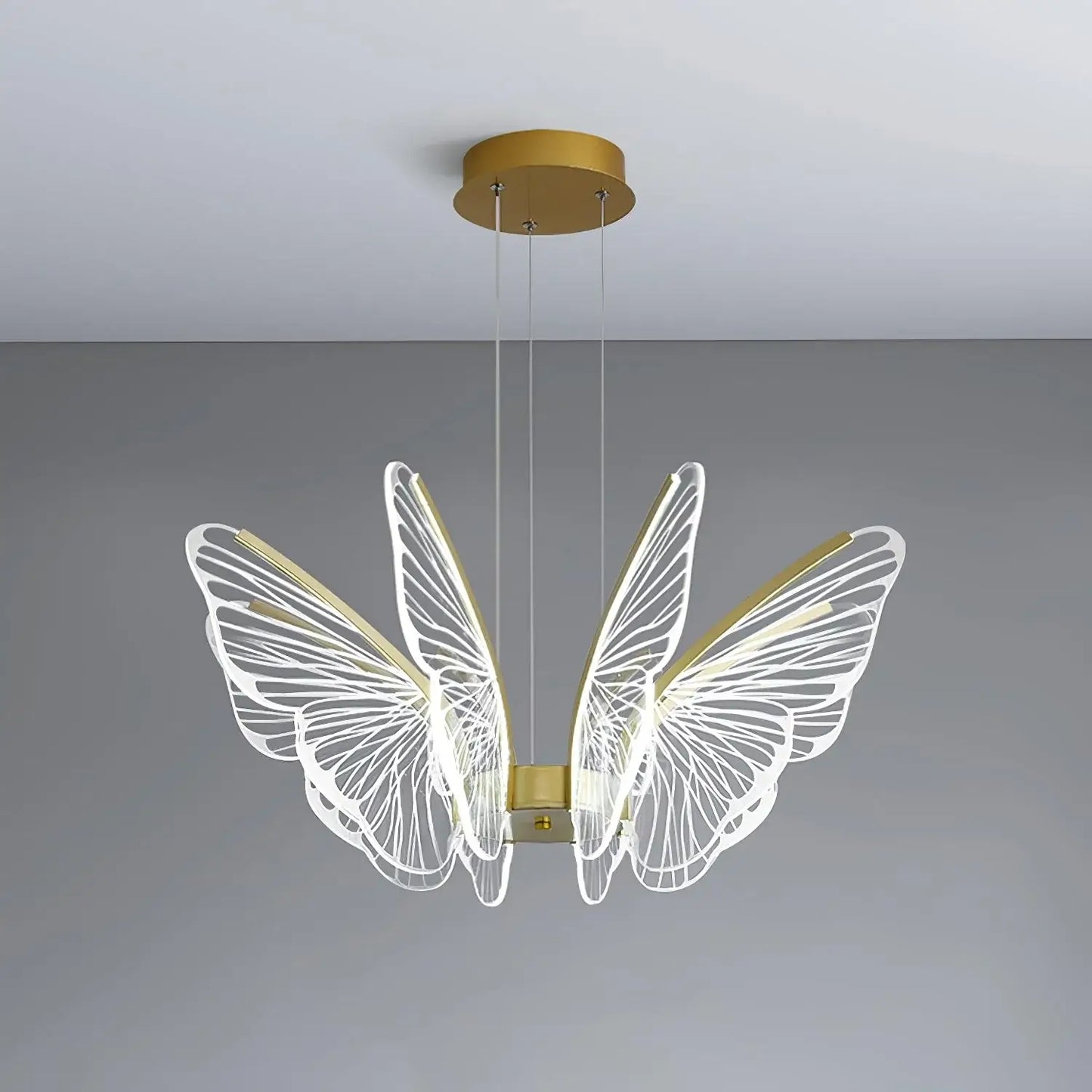 Phalaenopsis Chandelier - Nuvé
