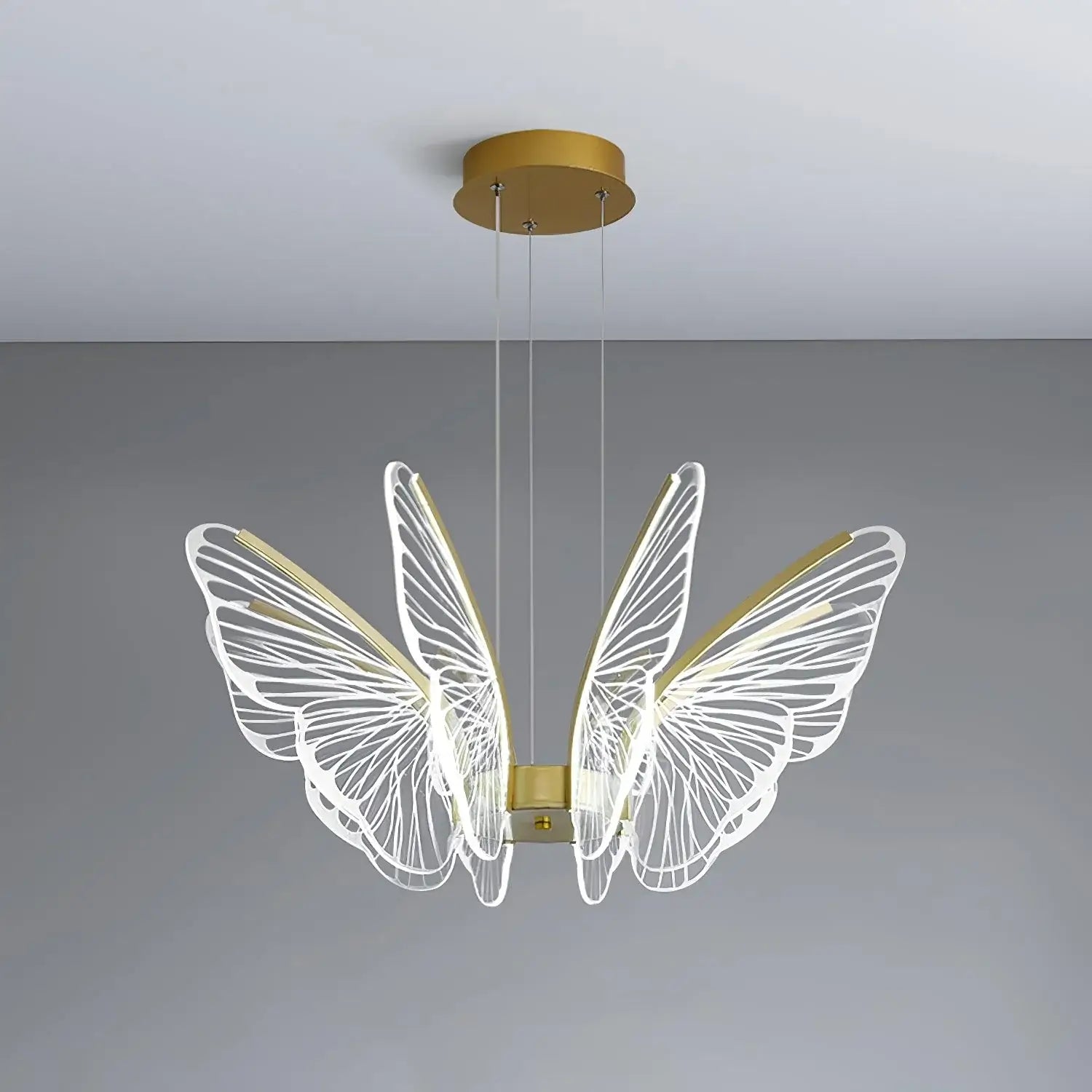 Phalaenopsis Chandelier - Nuvé