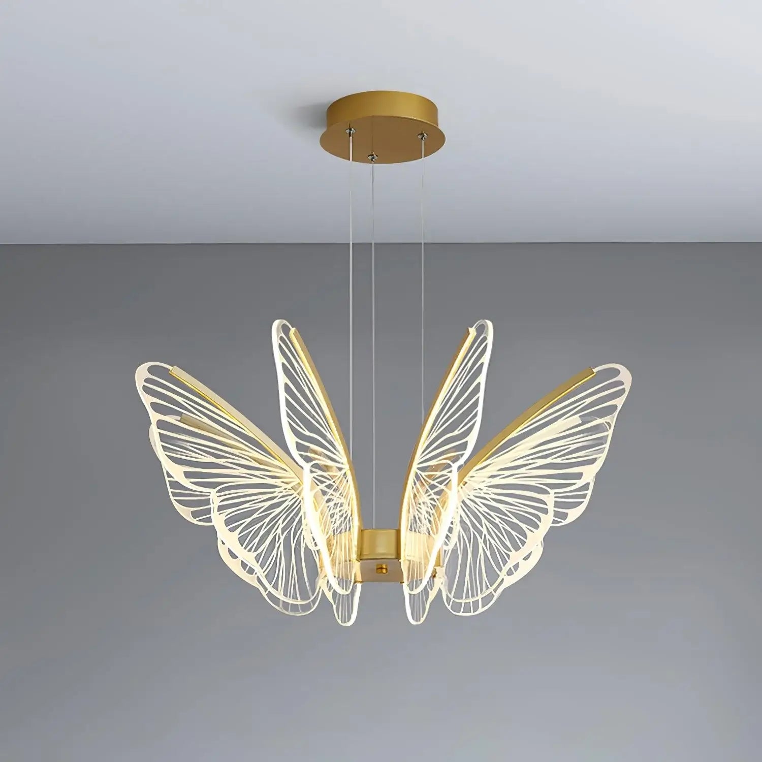 Phalaenopsis Chandelier - Nuvé