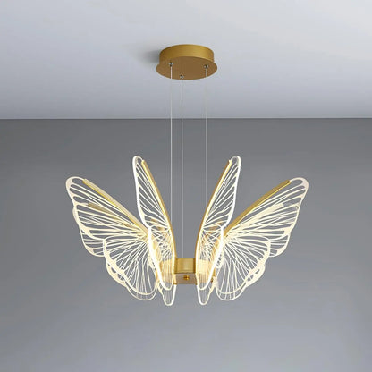 Phalaenopsis Chandelier - Nuvé