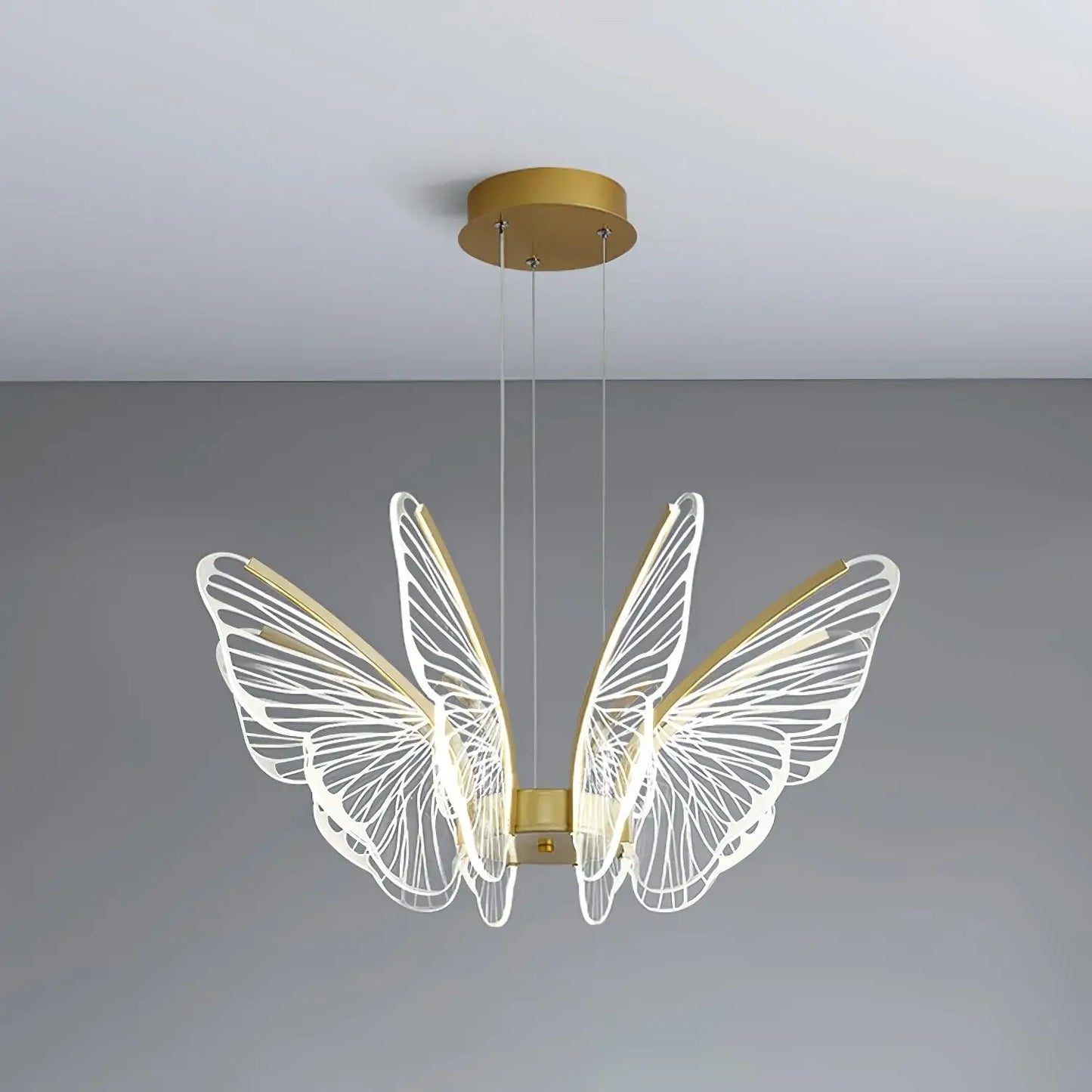 Phalaenopsis Chandelier - Nuvé