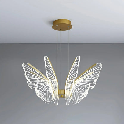 Phalaenopsis Chandelier - Nuvé