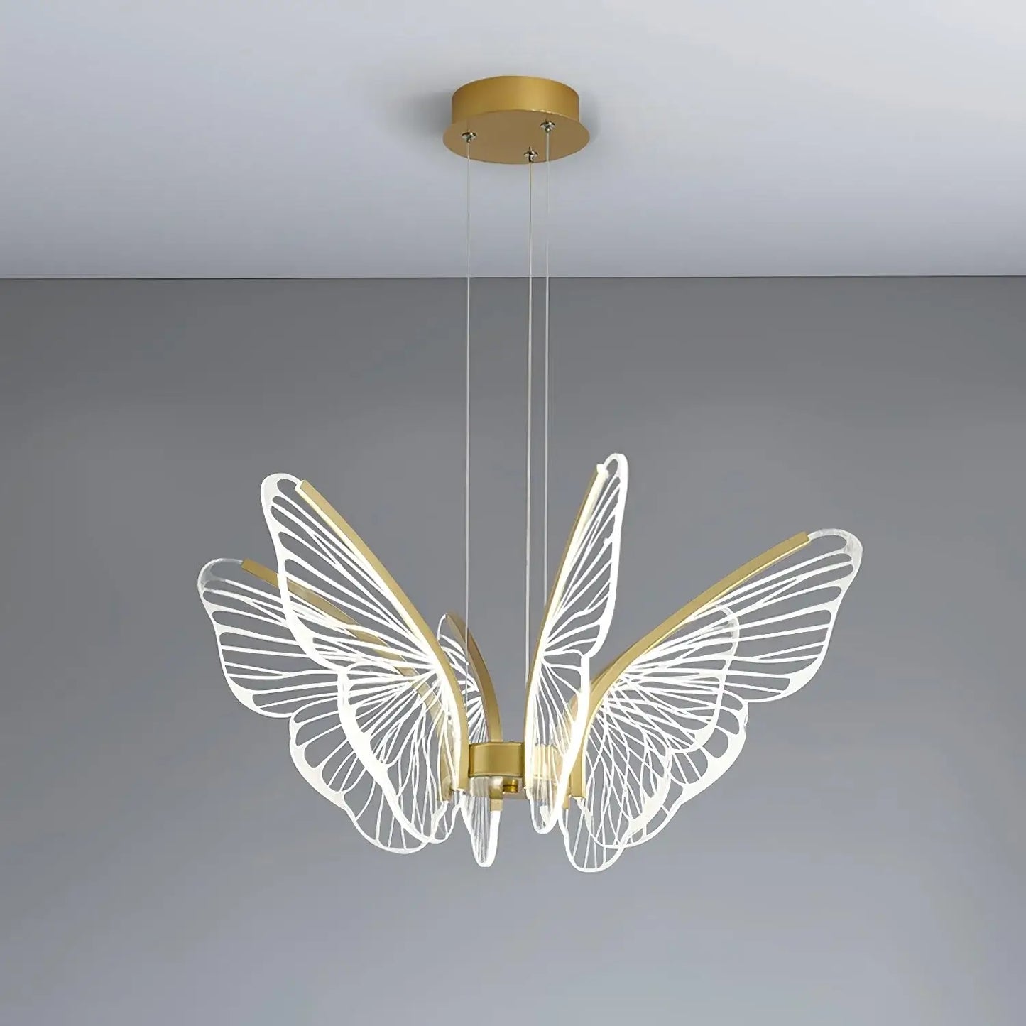 Phalaenopsis Chandelier - Nuvé