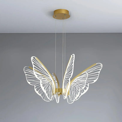 Phalaenopsis Chandelier - Nuvé