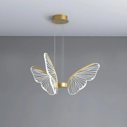 Phalaenopsis Chandelier - Nuvé