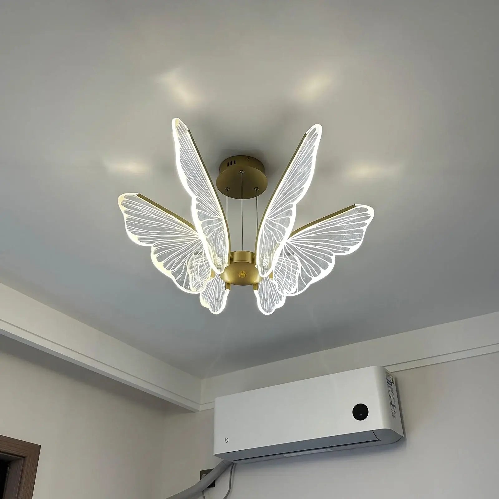 Phalaenopsis Chandelier - Nuvé