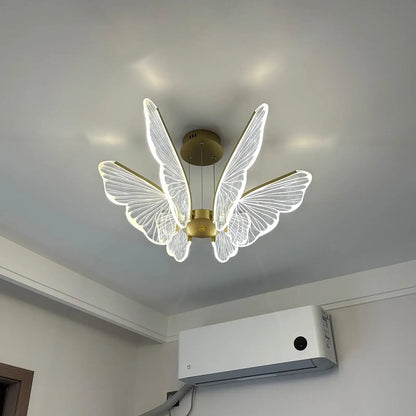 Phalaenopsis Chandelier - Nuvé