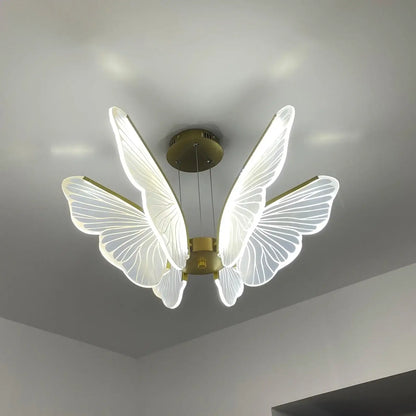 Phalaenopsis Chandelier - Nuvé