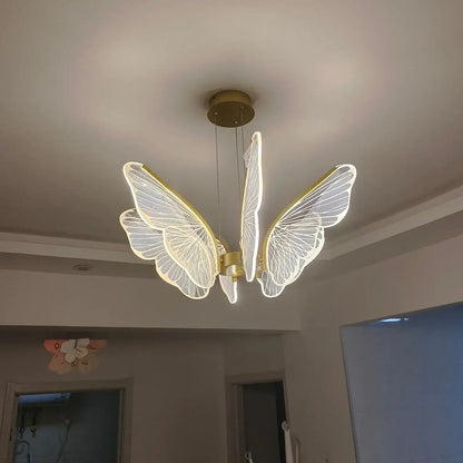 Phalaenopsis Chandelier - Nuvé