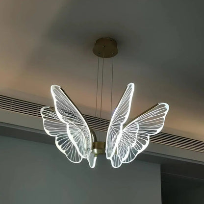 Phalaenopsis Chandelier - Nuvé