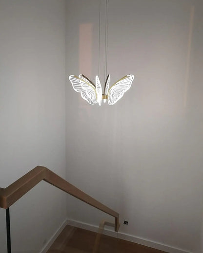 Phalaenopsis Chandelier - Nuvé