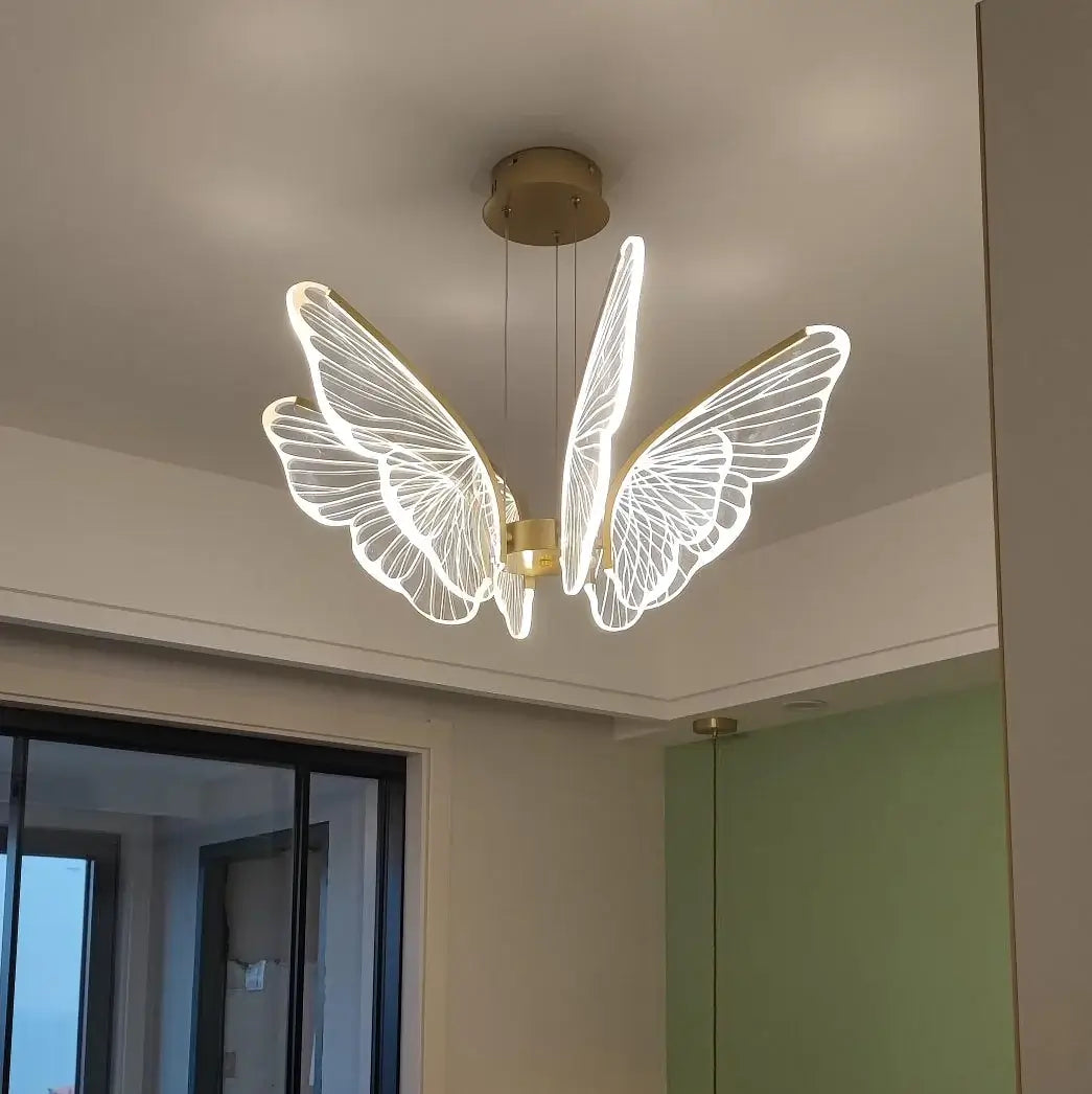 Phalaenopsis Chandelier - Nuvé