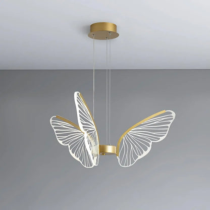 Phalaenopsis Chandelier - Nuvé