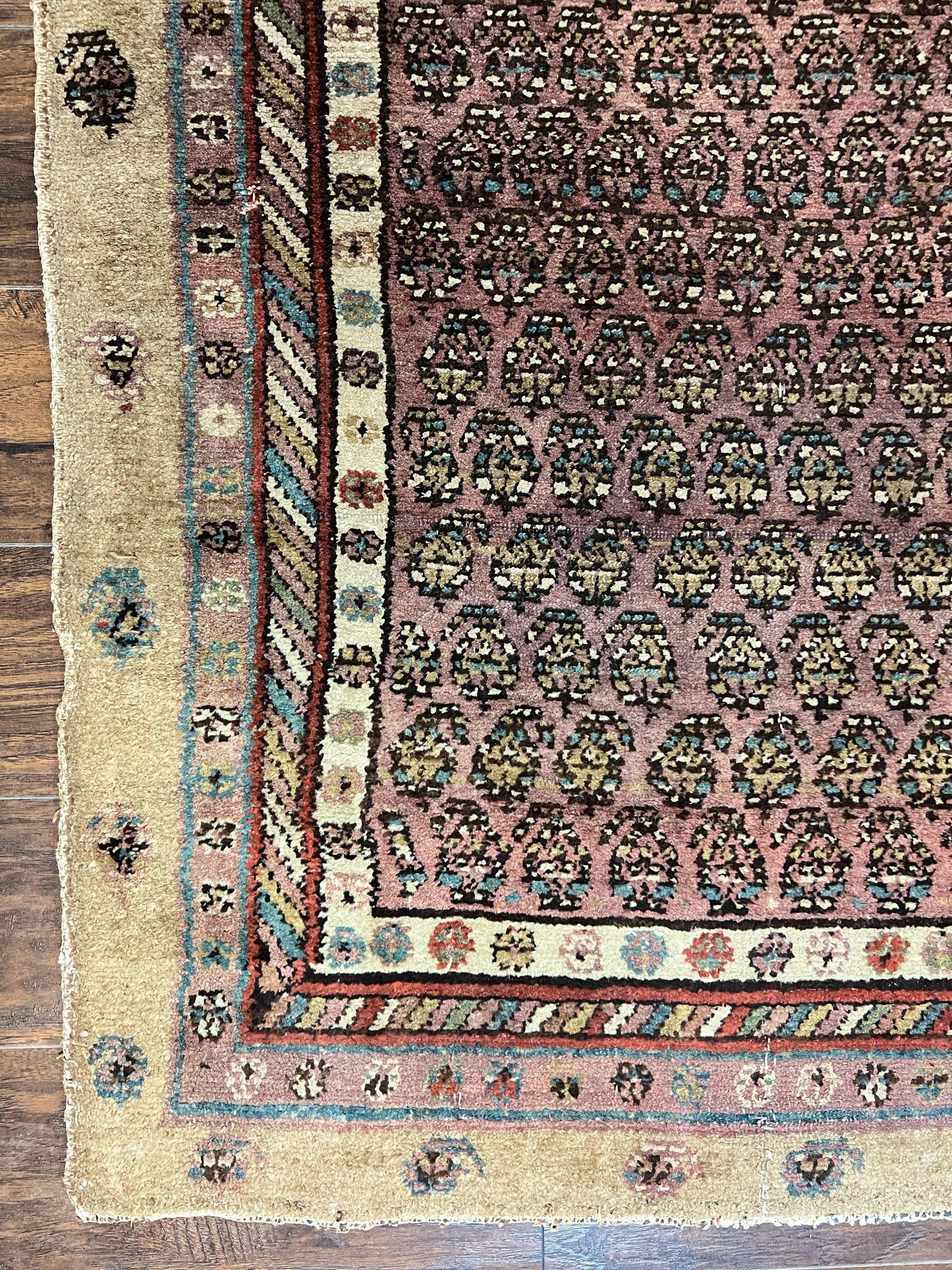 Antique Persian Sarab Runner Rug 3x11, Wool Camel Hair, Tribal Carpet for Hallway 3 x 11, Antique 1920s Rug, Handmade - Nuvé