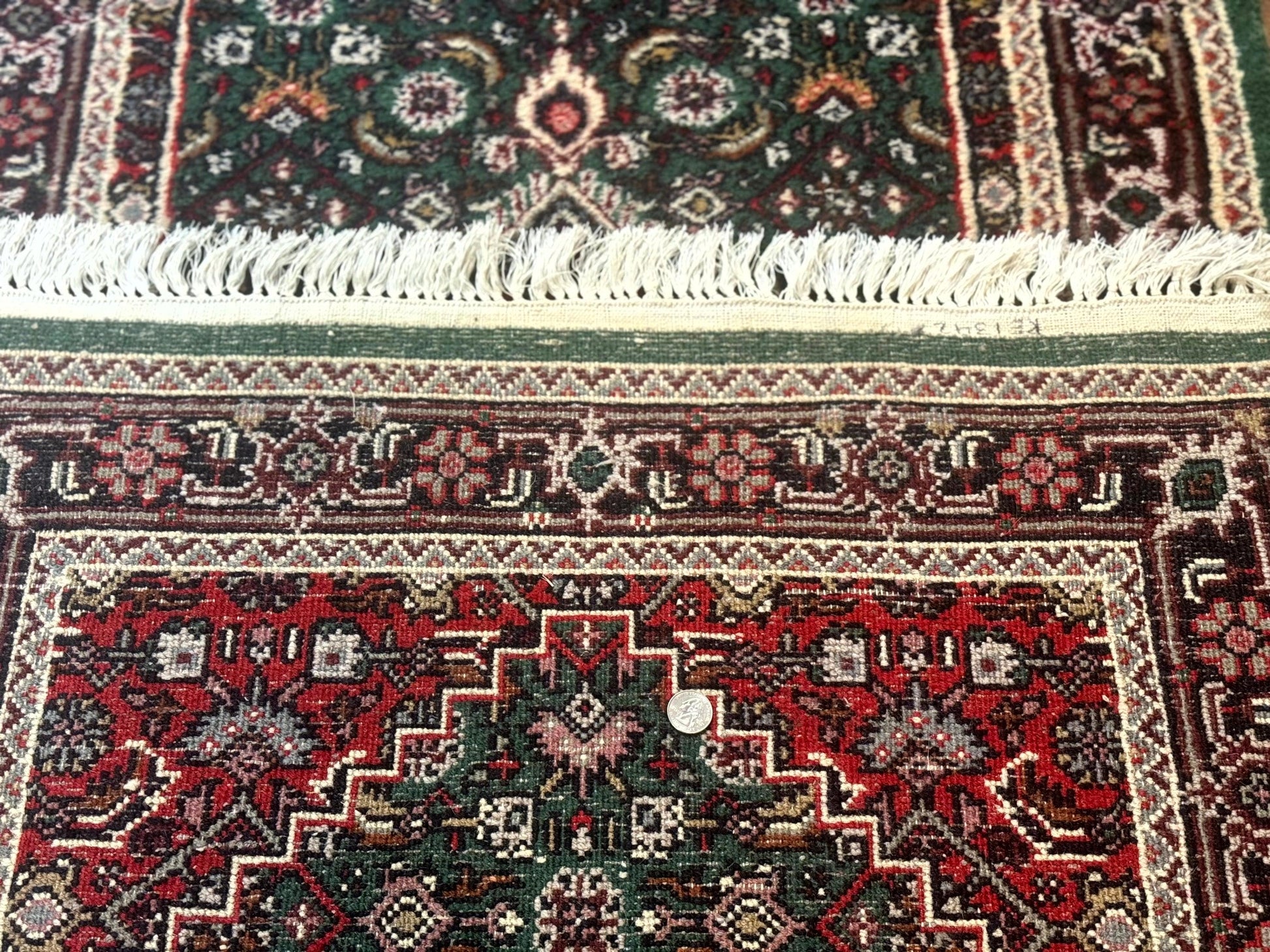 Green Indo Persian Bidjar Runner Rug 3x10, Green and Red - Nuvé