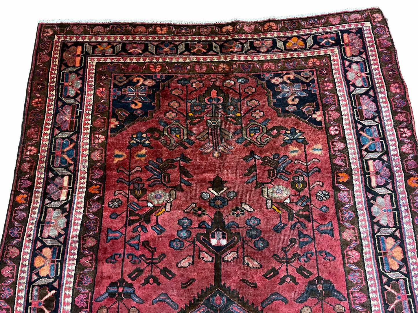 5.5 X 10 Handmade Wool Tribal Gallery Rug Wide Runner Corridor Rug Floral Red - Nuvé