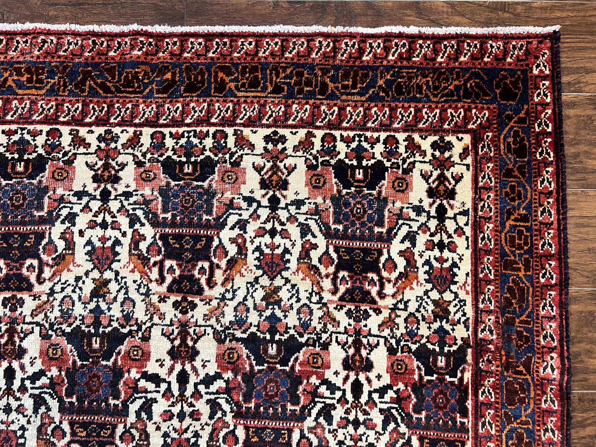 Persian Afshar Rug 6x8, Wool Hand Knotted Semi Antique Vintage Carpet, Floral Allover, Repeated Birds Flowers Vases Motifs - Nuvé