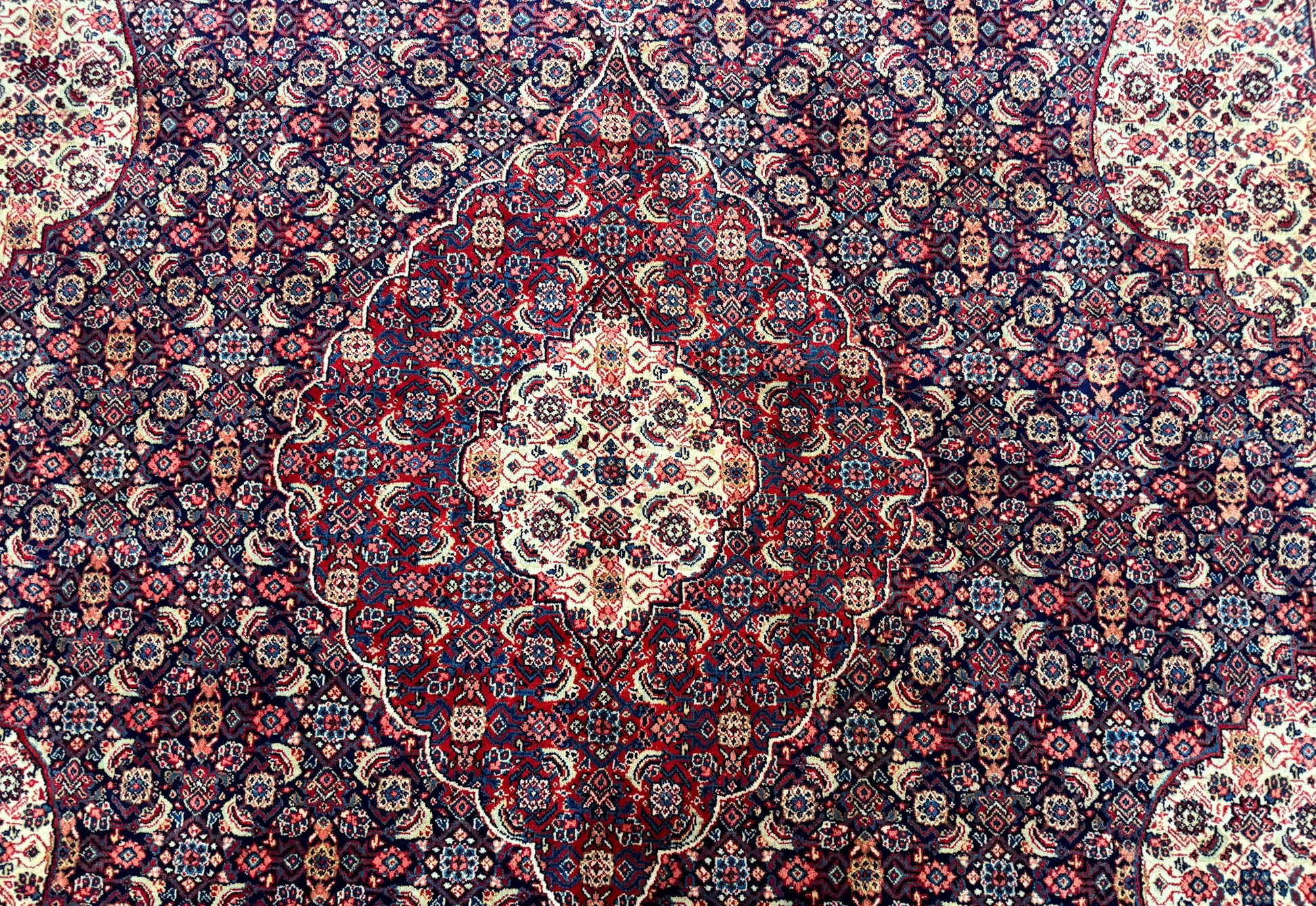 Persian Tabriz Rug 11x14 Navy Blue Herati Wool Carpet - Nuvé