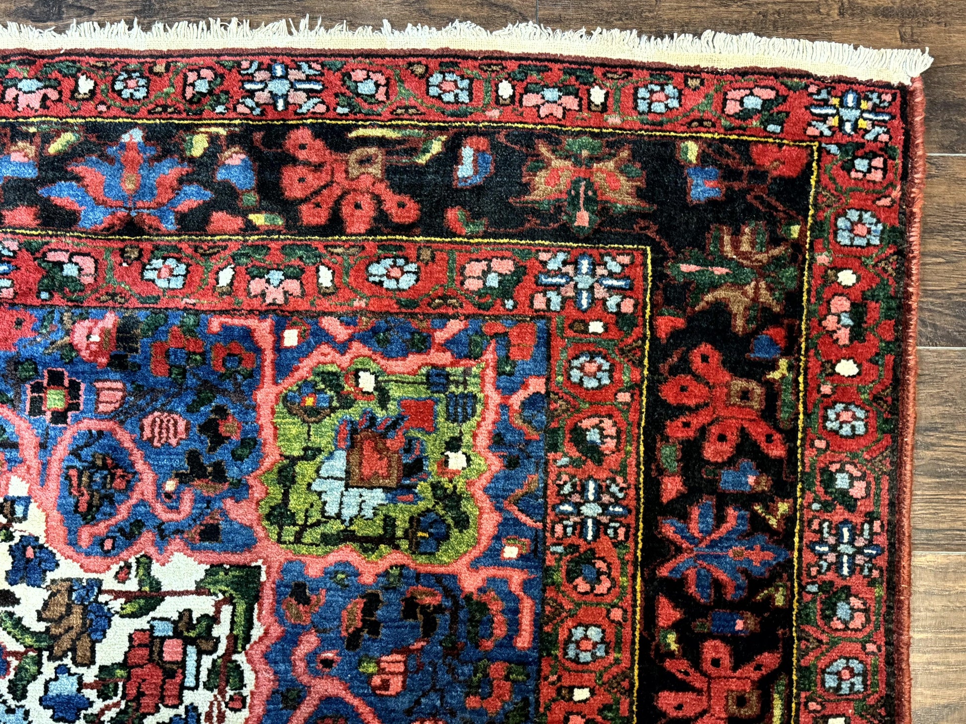 Persian Bakhtiari Rug 7x10, Antique Persian Carpet, Colorful, Great Colors, Ivory Red Blue, Rare Tribal Rug - Nuvé