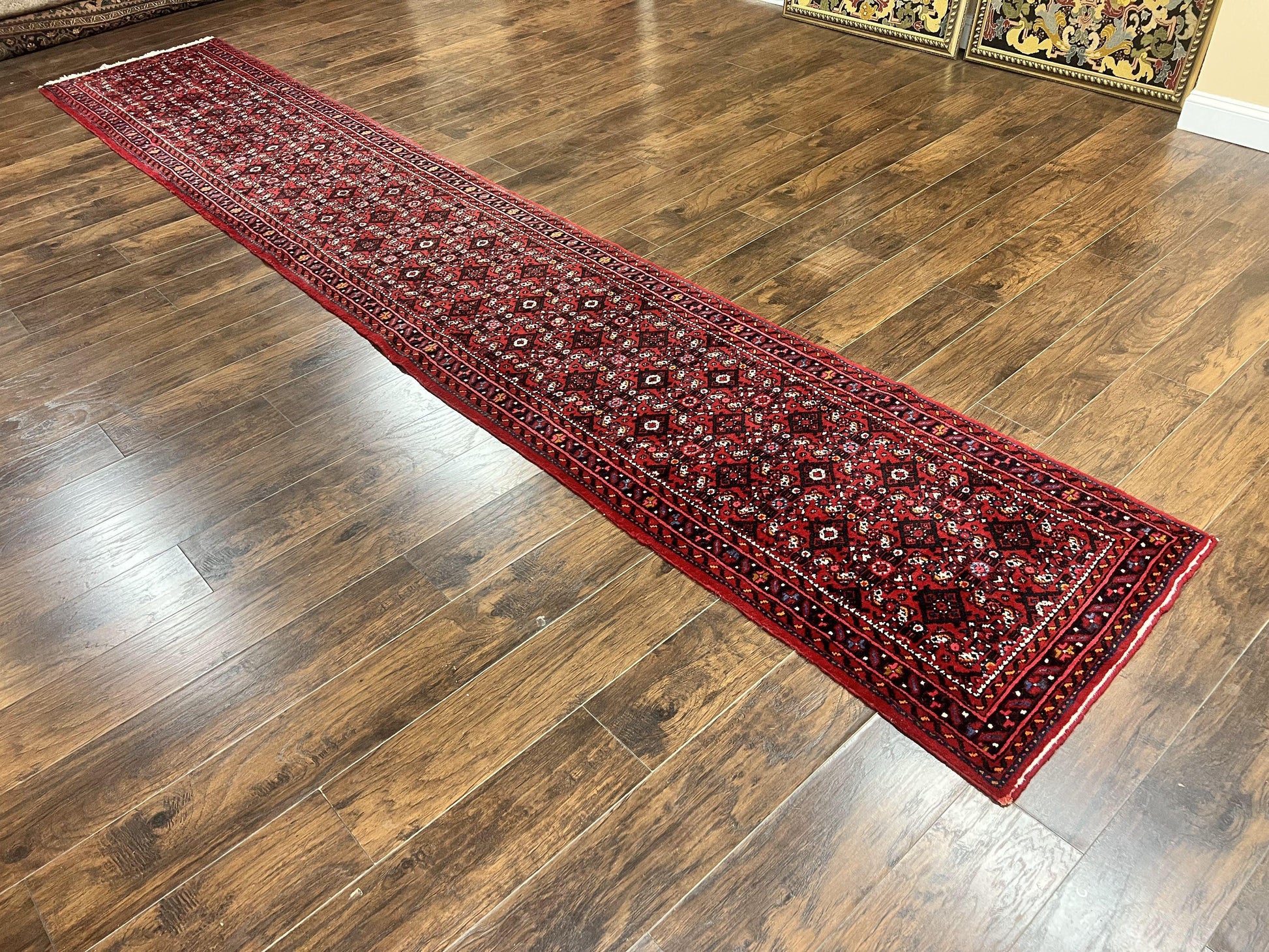 Persian Runner Rug 3 x 16, Wool Handmade Long Antique Hamadan Oriental Rug for Hallway, Red Tribal Rug, Allover Pattern, 3x16 Runner Rug - Nuvé