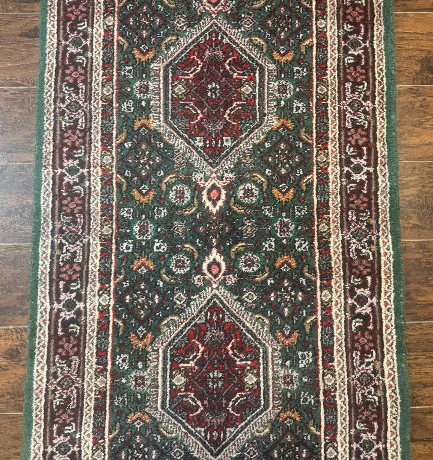 Green Indo Persian Bidjar Runner Rug 3x10, Green and Red - Nuvé