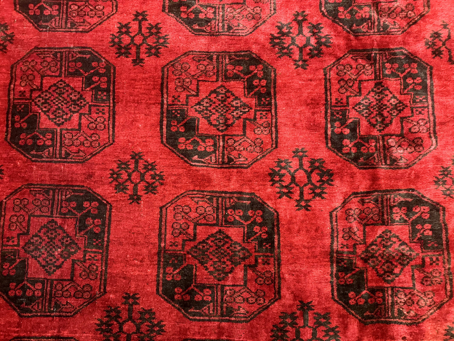 Afghan Turkoman Rug 9x10, Red Beshir Carpet, Tribal, Wool, Antique - Nuvé