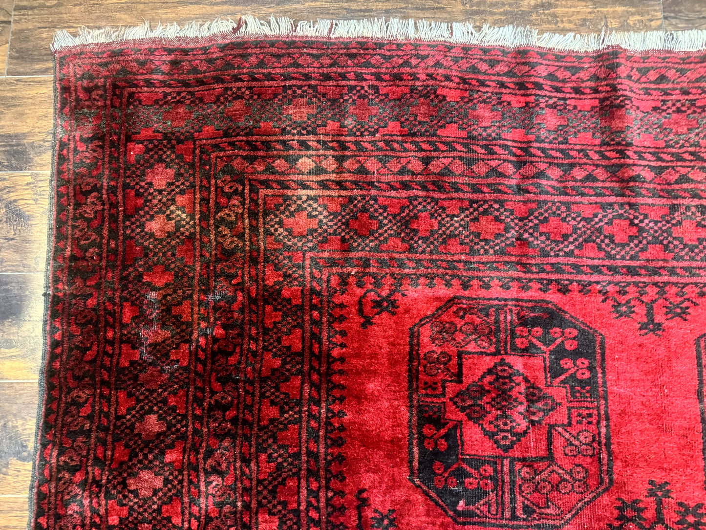 Afghan Turkoman Rug 9x10, Red Beshir Carpet, Tribal, Wool, Antique - Nuvé