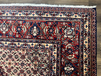 Persian Tabriz Rug 11x14 Navy Blue Herati Wool Carpet - Nuvé