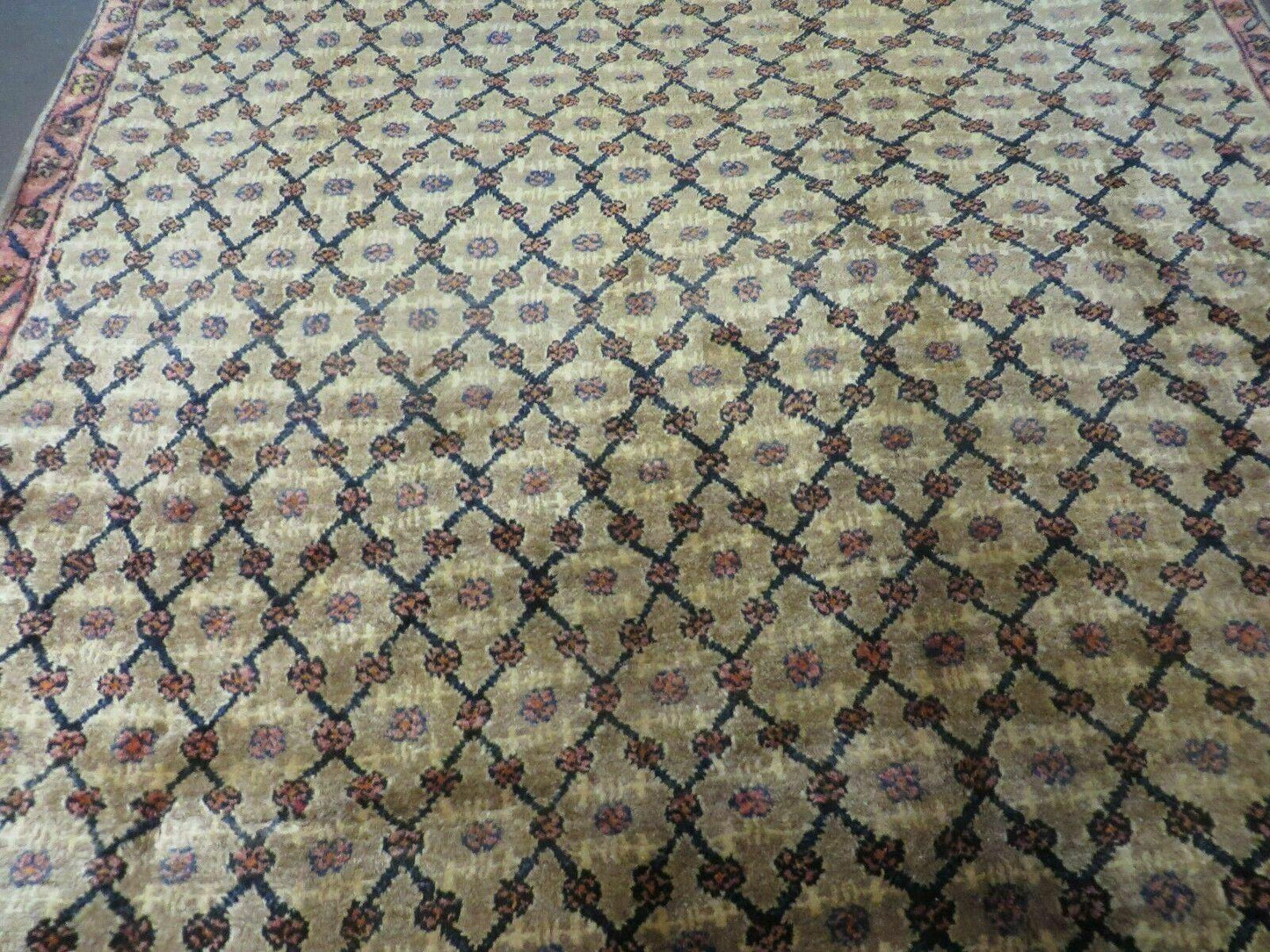 4' X 6' Handmade Indian Allover Wool Rug Camel Hair Color #119 - Nuvé