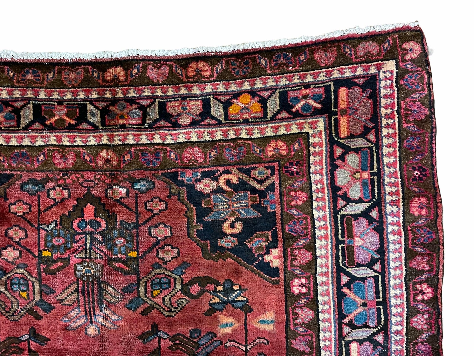 5.5 X 10 Handmade Wool Tribal Gallery Rug Wide Runner Corridor Rug Floral Red - Nuvé