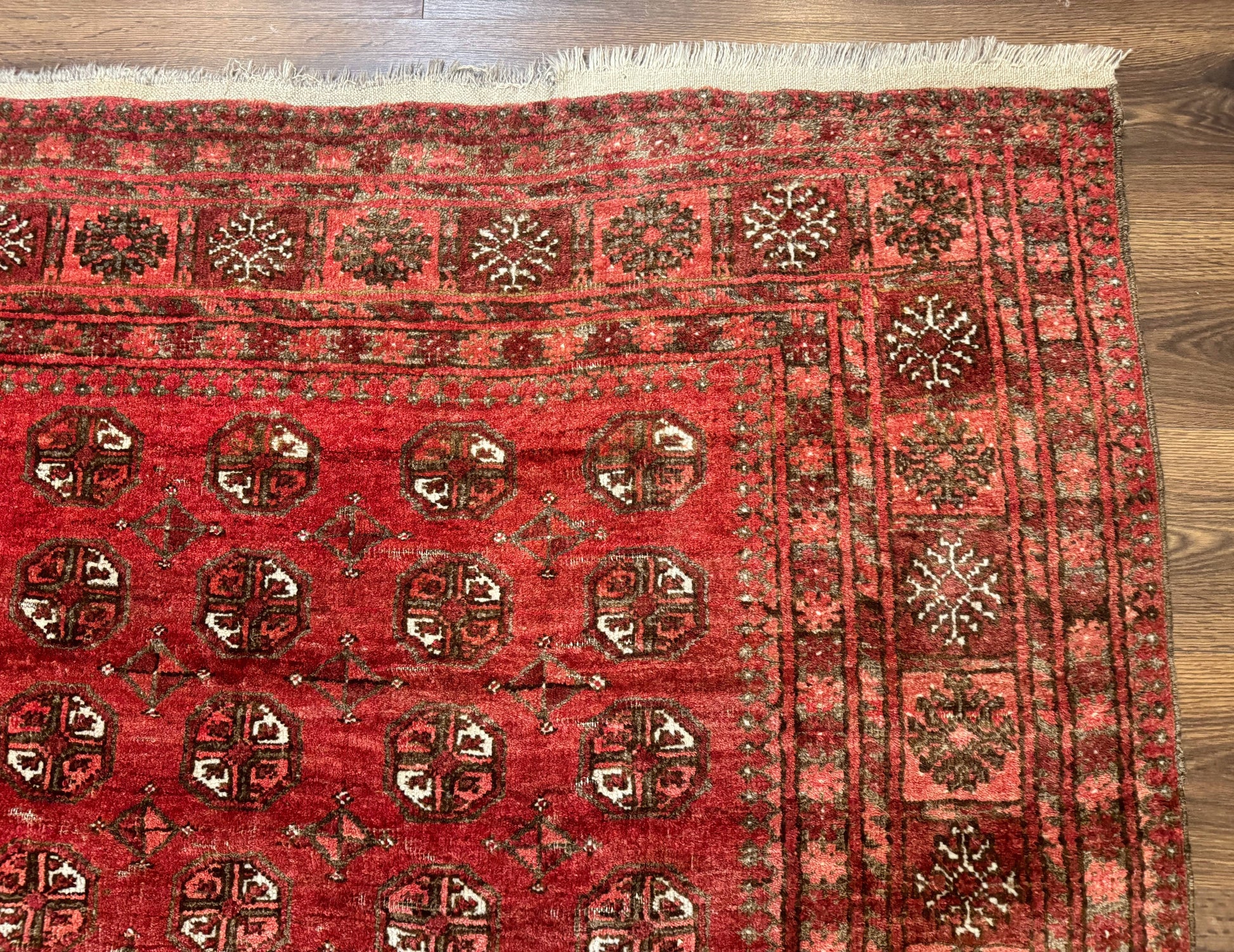 Antique Persian Turkoman Rug 5x6, Red - Nuvé
