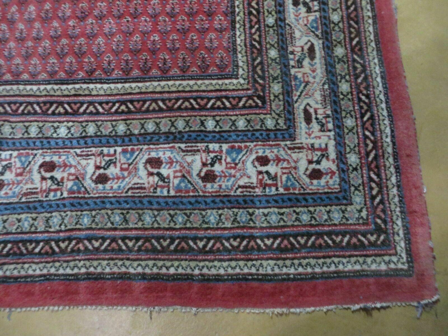 7' X 9' Vintage India Oriental Paisley Handmade Wool Rug Red Vegetable Dyes - Nuvé