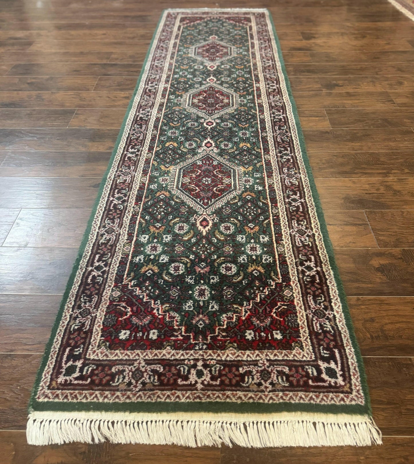 Green Indo Persian Bidjar Runner Rug 3x10, Green and Red - Nuvé