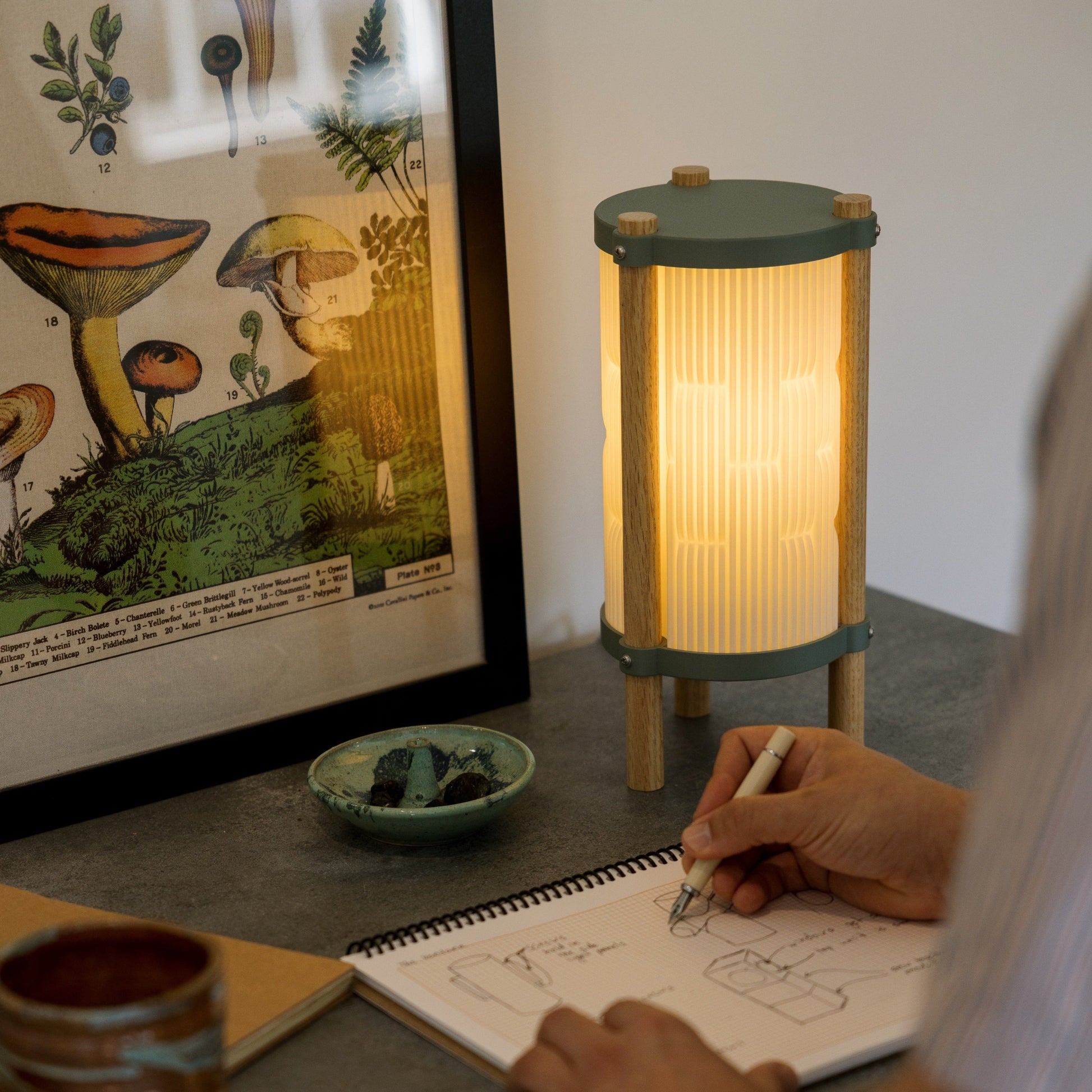Toro Table Lamp - Nuvé