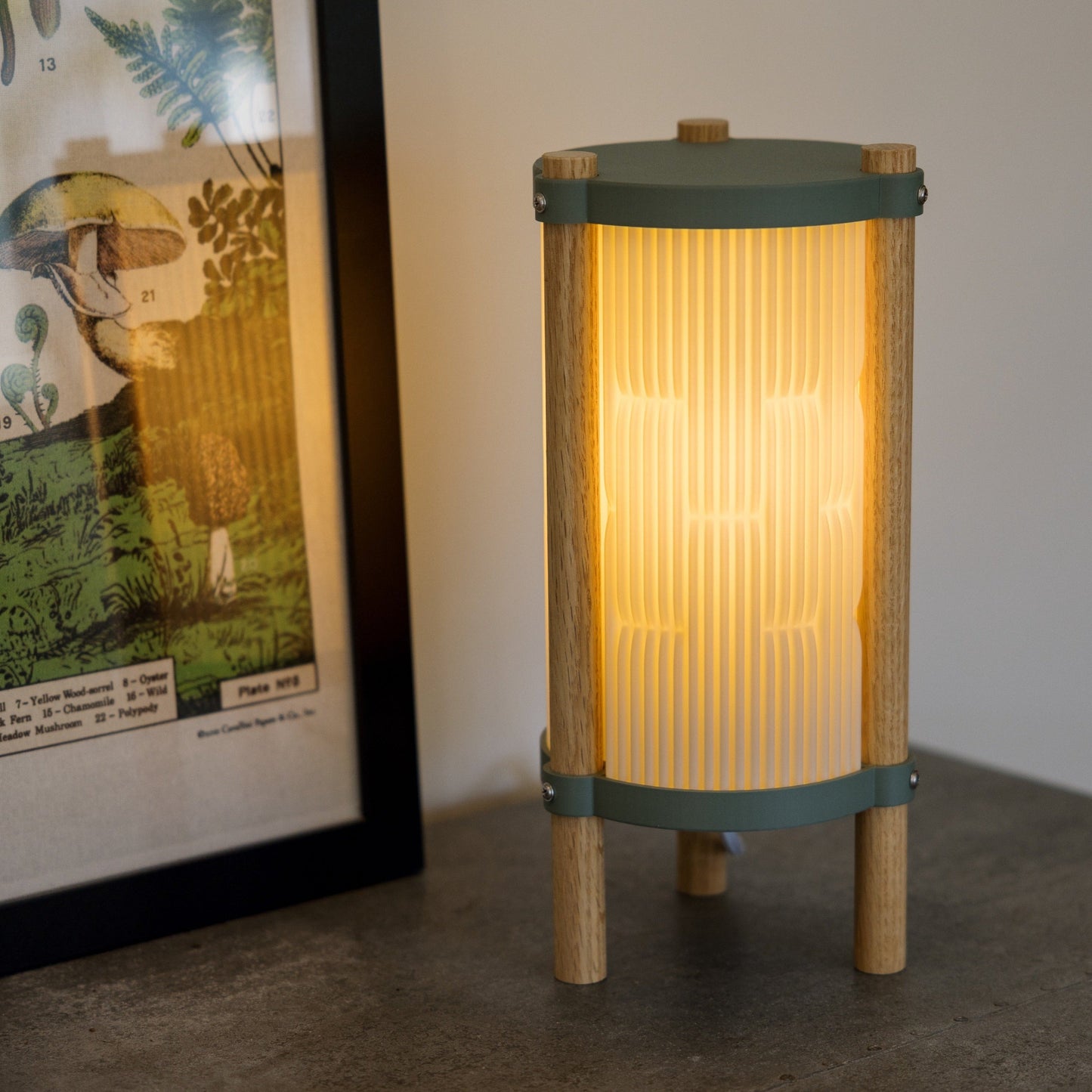 Toro Table Lamp - Nuvé