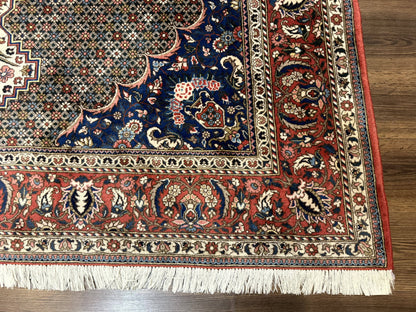 Persian Rug 7x10, Bakhtiari Saman Rug, Unique Design and Colors, Ivory Red Blue, Large Tribal Rug - Nuvé
