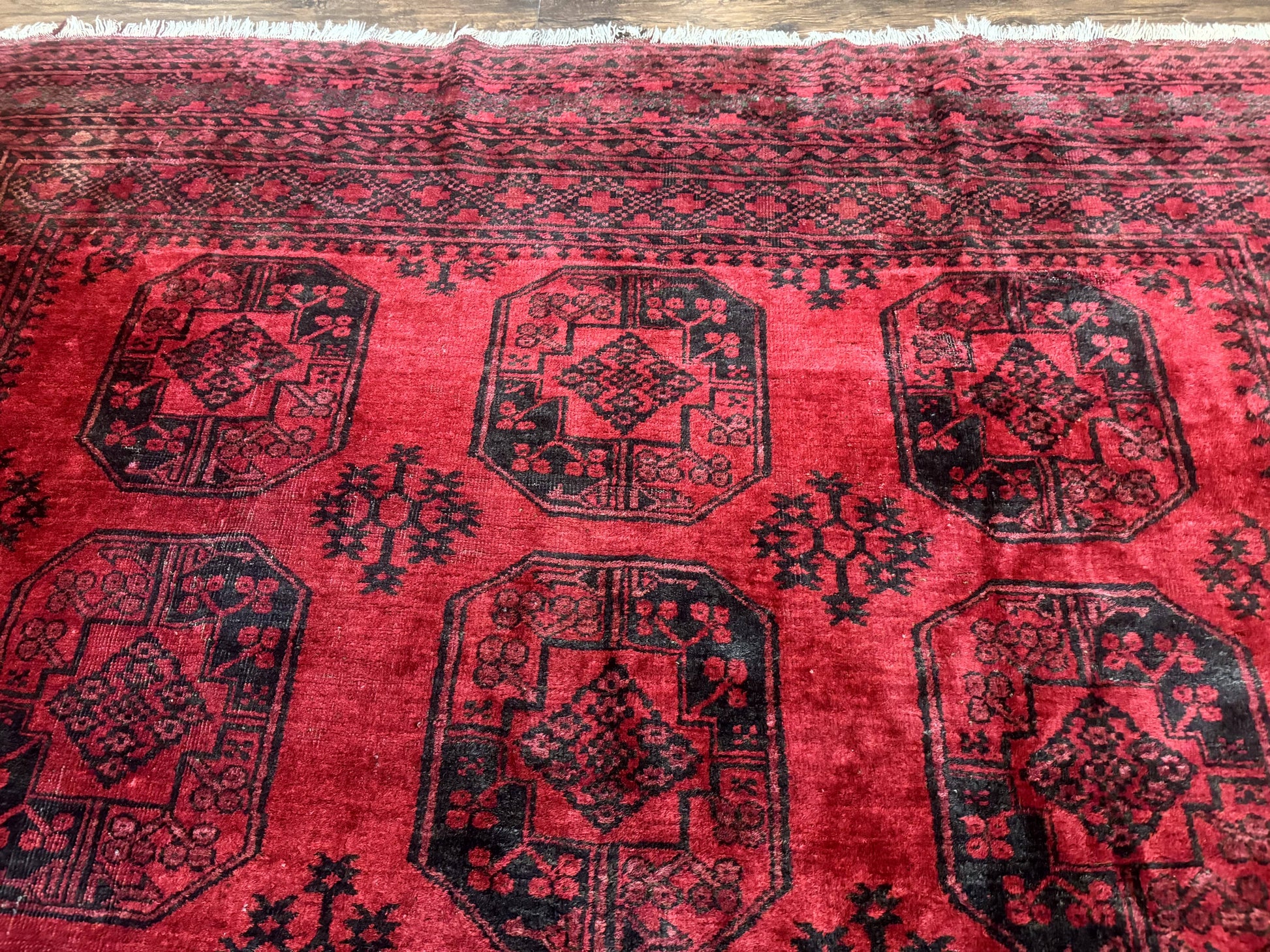 Afghan Turkoman Rug 9x10, Red Beshir Carpet, Tribal, Wool, Antique - Nuvé