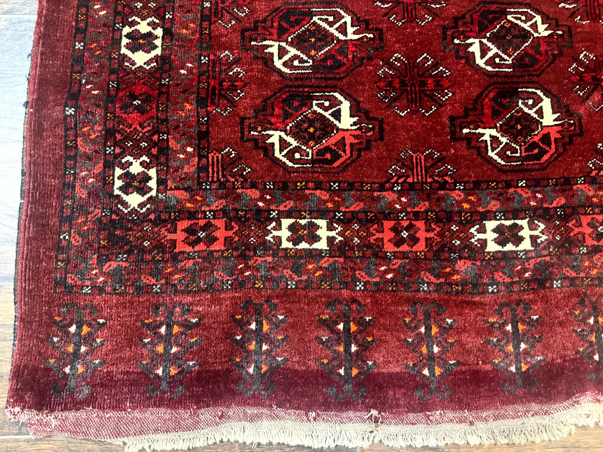 Antique Afghan Turkoman Mafrash Rug 3x5, Red, Hand Knotted, Wool, Tribal Collectible - Nuvé