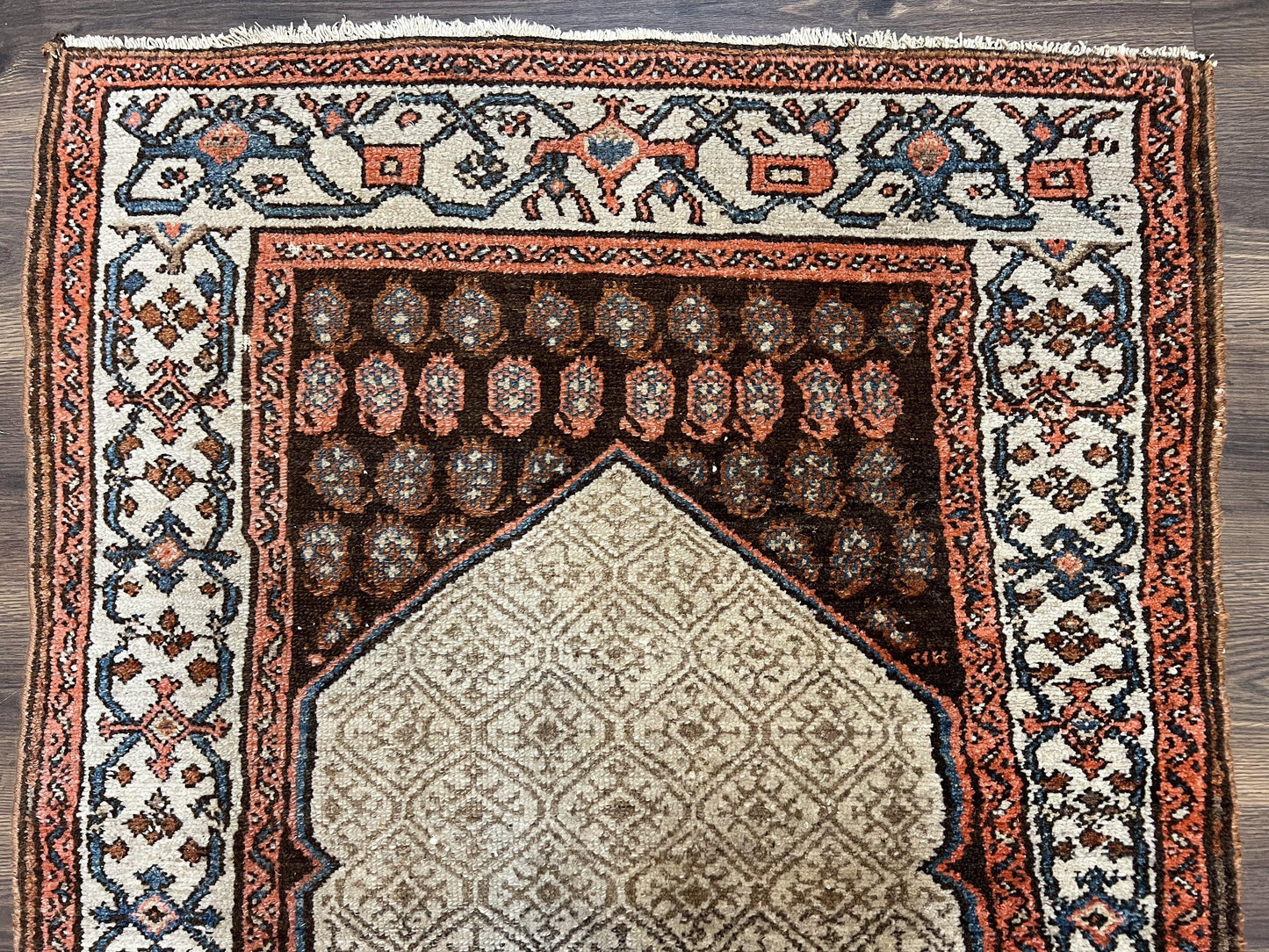 Rare Persian Tribal Runner Rug 3.5 x 10, Sarab Serab Kalegy Carpet, Antique 1920s Collectible Geometric Medallion Oriental Wool Runner, Hand Knotted, Camel Hair Color - Nuvé