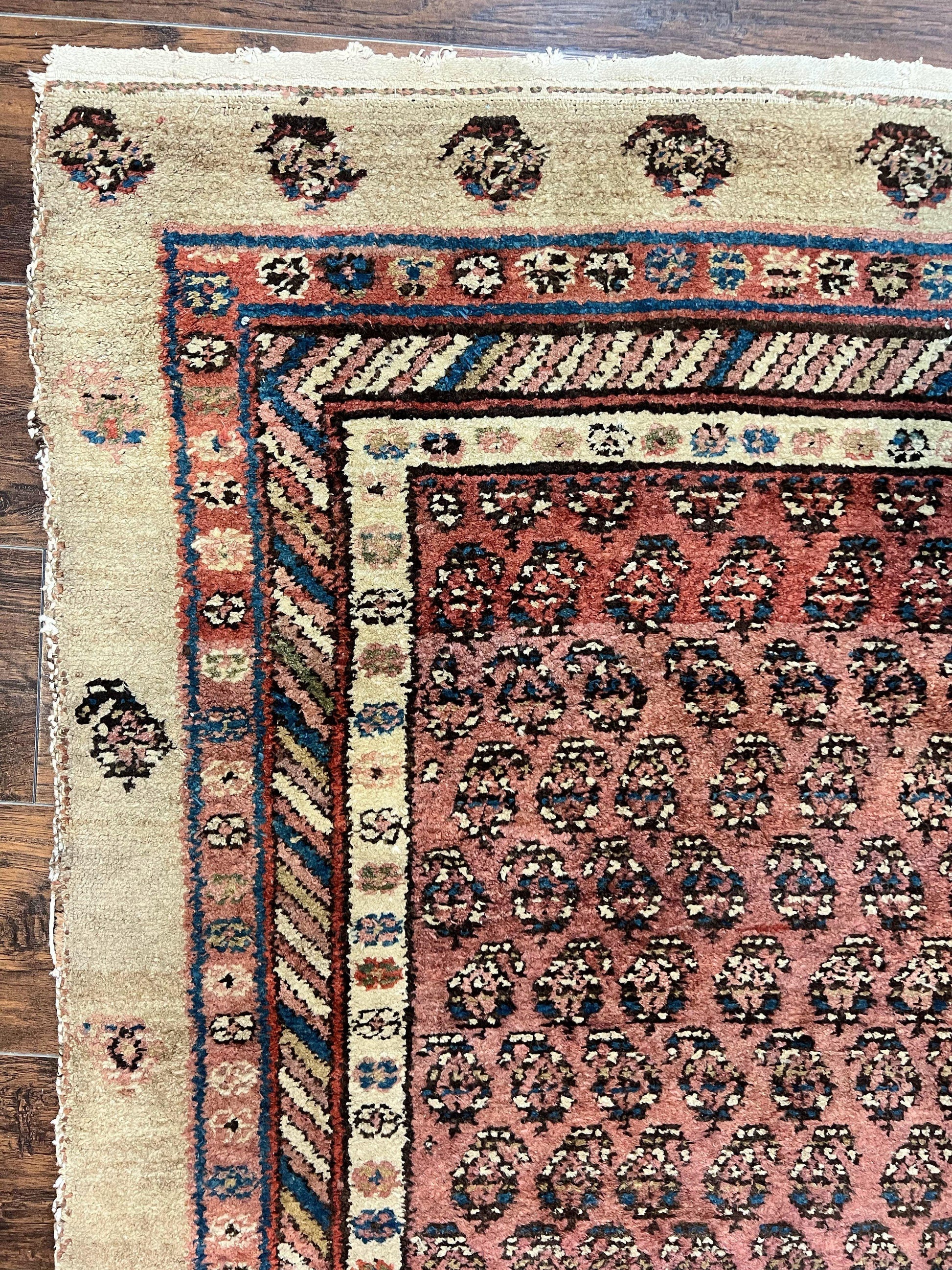 Antique Persian Sarab Runner Rug 3x11, Wool Camel Hair, Tribal Carpet for Hallway 3 x 11, Antique 1920s Rug, Handmade - Nuvé