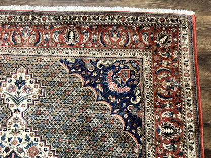 Persian Rug 7x10, Bakhtiari Saman Rug, Unique Design and Colors, Ivory Red Blue, Large Tribal Rug - Nuvé