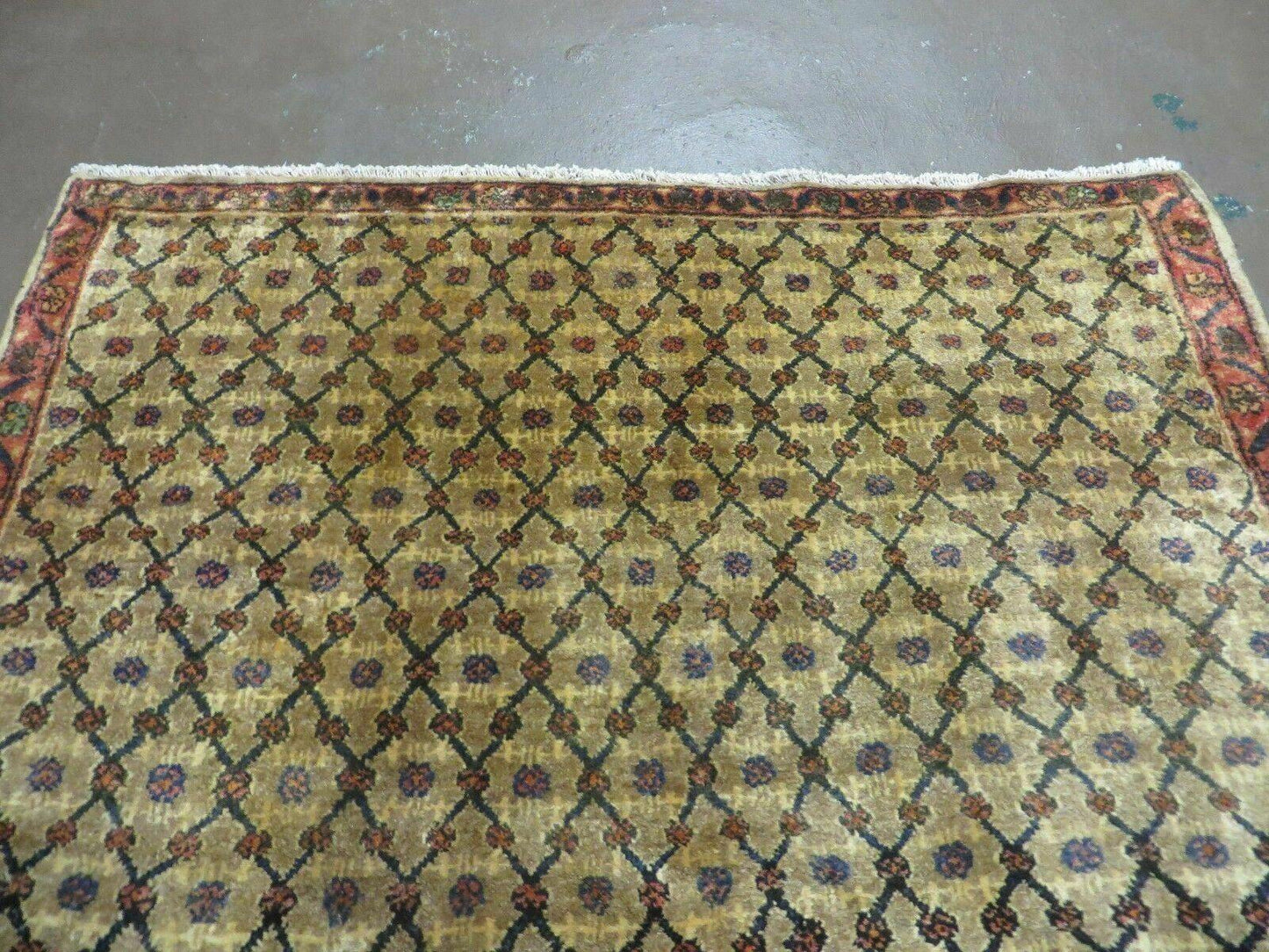 4' X 6' Handmade Indian Allover Wool Rug Camel Hair Color #119 - Nuvé