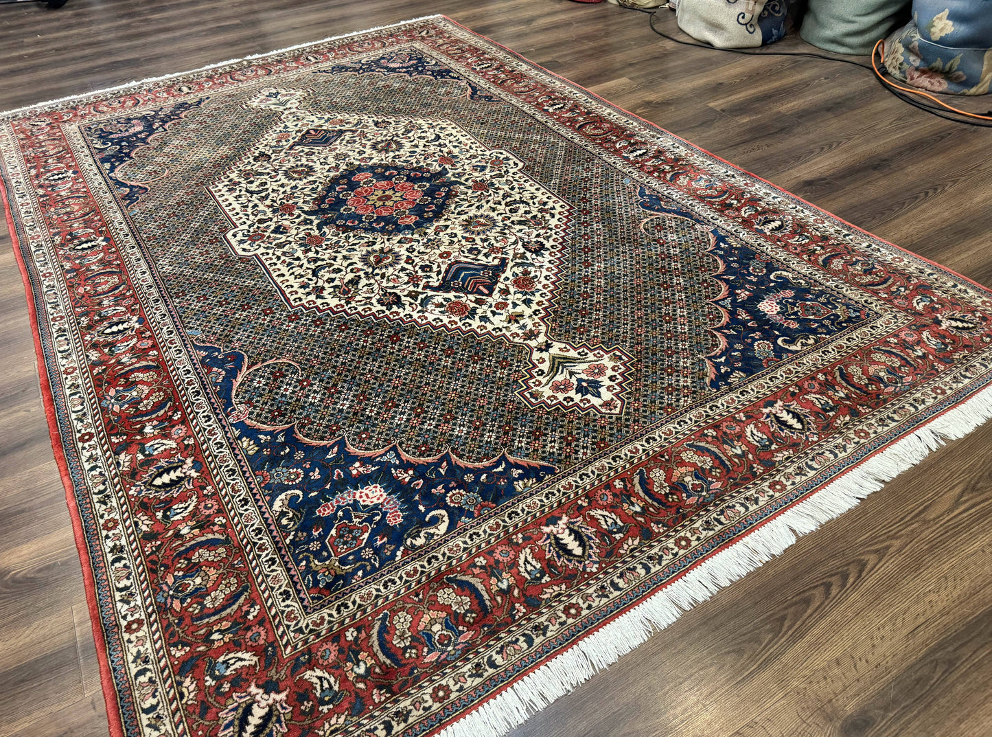 Persian Rug 7x10, Bakhtiari Saman Rug, Unique Design and Colors, Ivory Red Blue, Large Tribal Rug - Nuvé