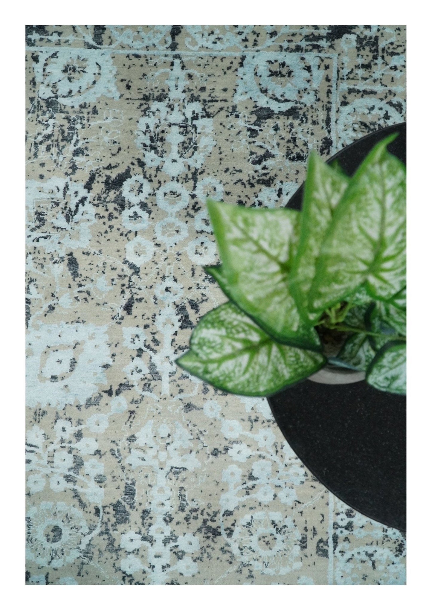 4x6 Fine Hand Knotted Aqua, Beige and Black Traditional Vintage Persian Style Antique Wool and Bamboo Silk Rug | AGR10 - Nuvé