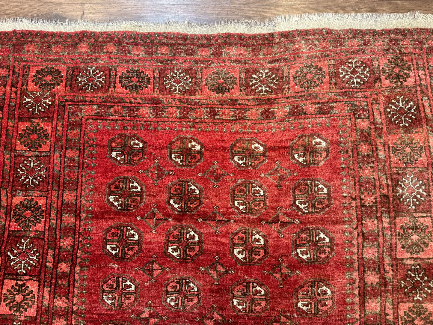 Antique Persian Turkoman Rug 5x6, Red - Nuvé