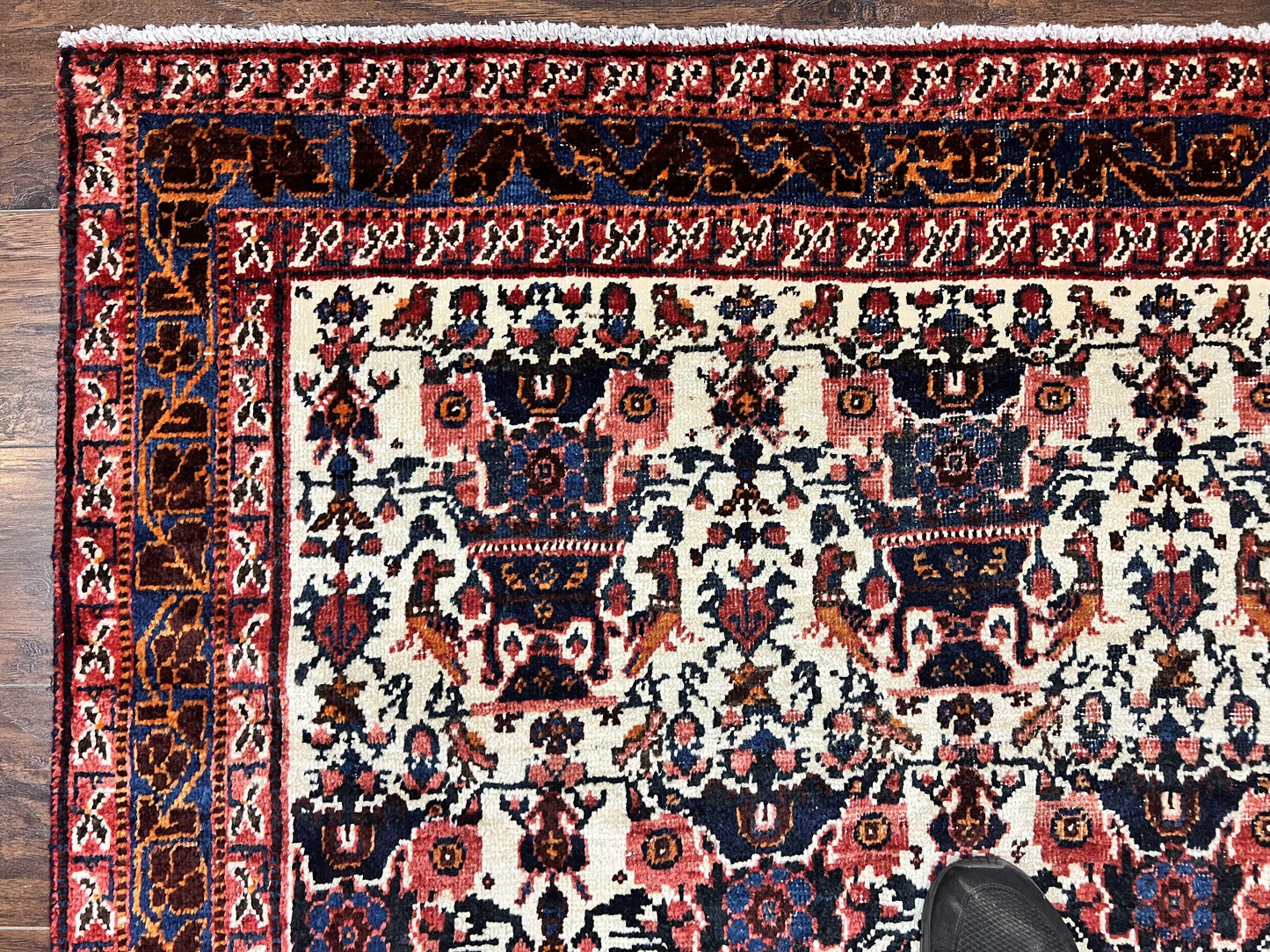 Persian Afshar Rug 6x8, Wool Hand Knotted Semi Antique Vintage Carpet, Floral Allover, Repeated Birds Flowers Vases Motifs - Nuvé